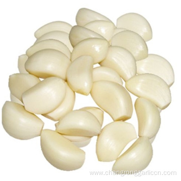 Freeze Garlic Cloves That Are Peeled